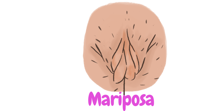 ilustración de vulva
