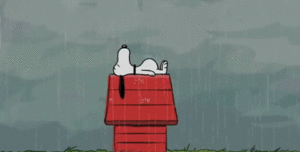 Snoopy durmiendo bajo la lluvia