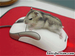Ratón encima de un mouse de computadora