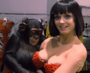 Mono tocando el seno de una mujer