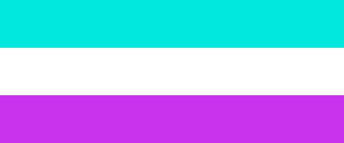 Bandera antrosexual